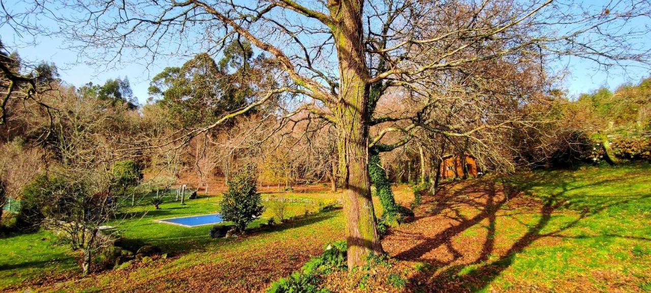 Veiga Marina Country house *