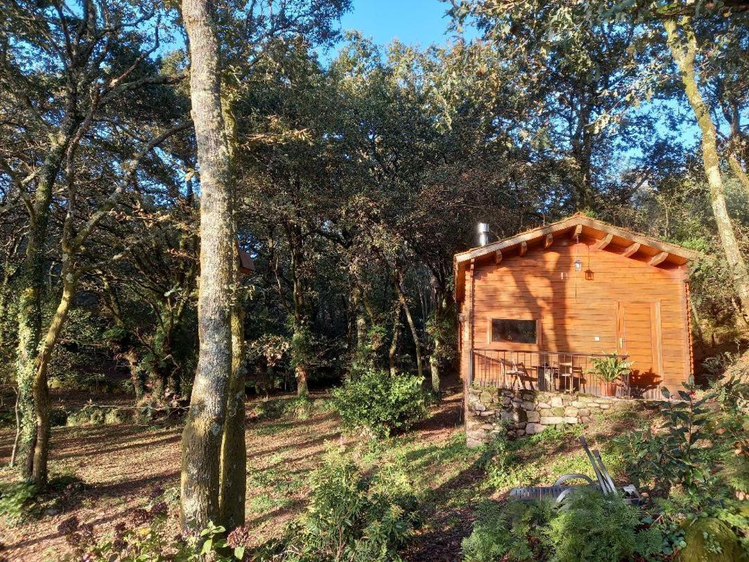 Veiga Marina Country house *